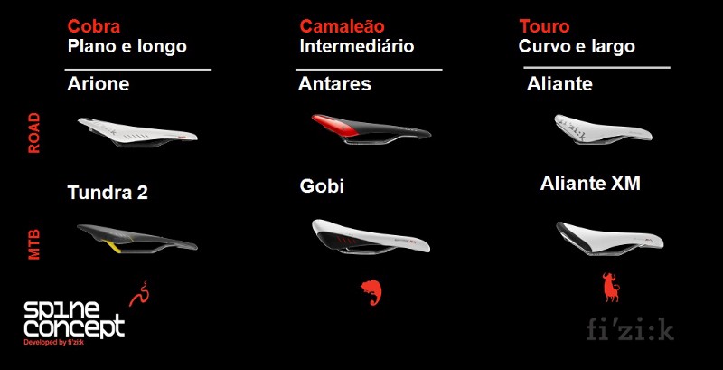 SELLE FIZIK VTT